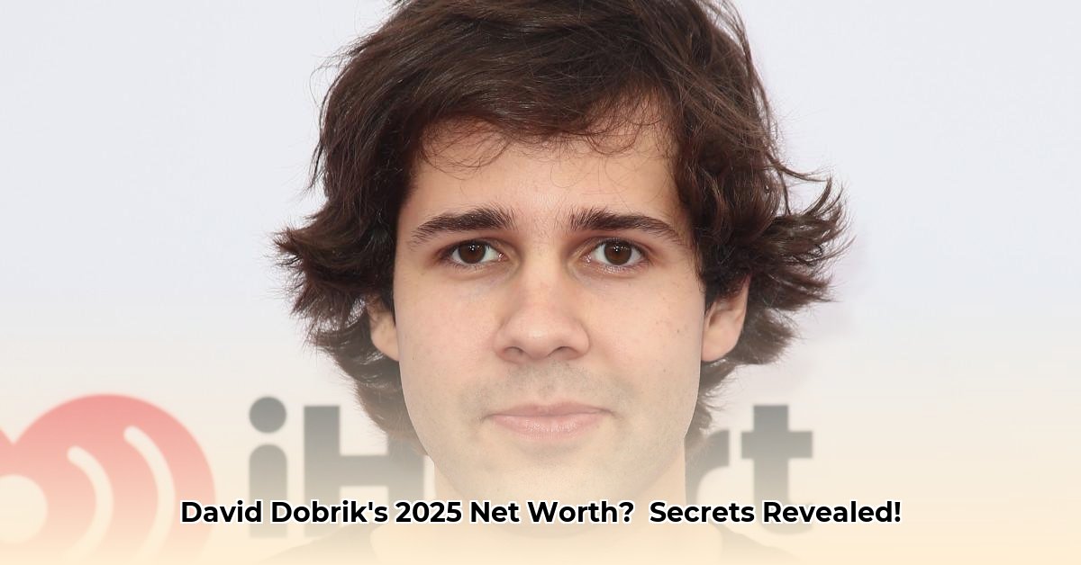 david-dobrik-net-worth